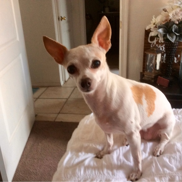 Meet your Posher, Tina - Picture 9 of 15